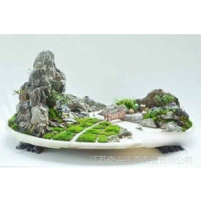 假山盆景经销商